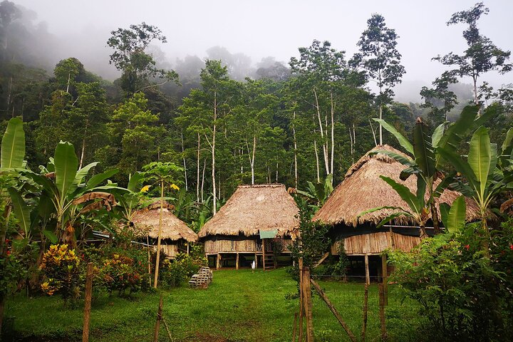  BriBri Indigenous Village Chocolate Tour, Cahuita and Waterfalls - Photo 1 of 25